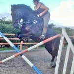 Profile Picture of Alex Earle (@alexearle_xox) on Instagram