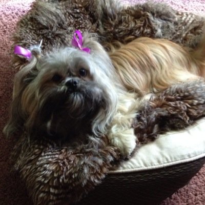 Profile Picture of Marilyn Marks (@dollie02mm) on Twitter