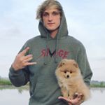 Profile Picture of Brandy Saylor (@wolfprint2006) on Instagram