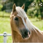 Profile Picture of Einhorn 🦄 (@michael.bauer.privat) on Instagram