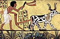 Profile Picture of Organic farming - Wikipediaon Wikipedia
