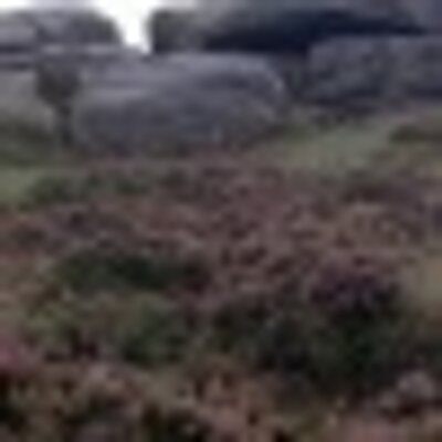 Heather Schofield - Twitter Profile Picture of Heather Schofield (@Hebschof) on Twitter