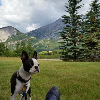 Profile Picture of Brad Olson (@b1olson) on Twitter