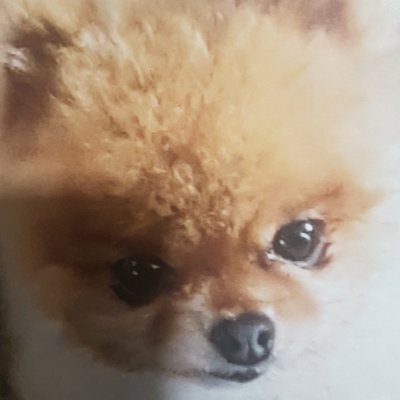 Profile Picture of Jolene Duncan (@Jolened87708832) on Twitter