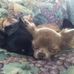 Profile Picture of Dora Manning (@dora.manning.56027) on Facebook