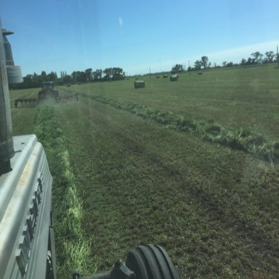 Profile Picture of Josh Fehr (@yoshfehr) on Twitter