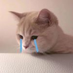 Profile Picture of Zhiwei Huang (@zhiwei.huang.1217) on Instagram