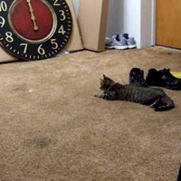 Profile Picture of David Degenhardt (@david-degenhardt) on Quora