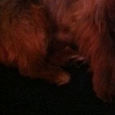 Profile Picture of Jasmine Barnes (@jasminebarnes5) on Twitter