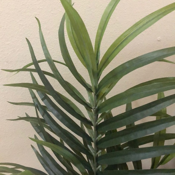 Profile Picture of Melanie Fukumoto (@luckymeeh1) on Poshmark