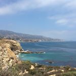 Profile Picture of pamoneil (@pamoneil) on Instagram