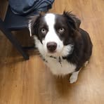 Profile Picture of James Guest (@James-Guest) on Facebook