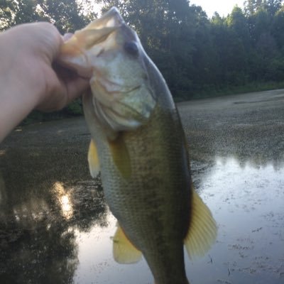 Chase Jernigan - Twitter Profile Picture of Chase Jernigan (@Cjernigan713) on Twitter