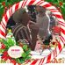 Profile Picture of Jane Thompson (@jane.thompson.71697092) on Facebook