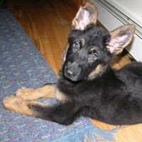 Profile Picture of Barbara Moody Bickford (@barbara-moody-bickford) on Quora