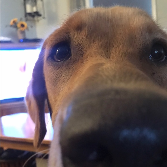 Profile Picture of Angela Gilloon (@amg2072020) on Poshmark