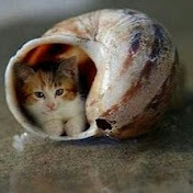 Profile Picture of Devin Thompson (@devinthompson5078) on Youtube