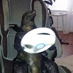 Profile Picture of Brent Wiens (@brenthornn) on Instagram