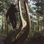 Profile Picture of Chris Toomey (@chris_toomey_ll) on Instagram