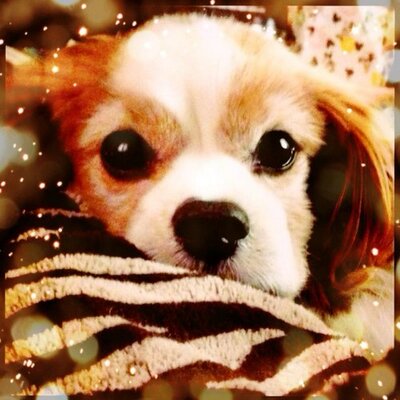 Natsuki Oda - Twitter Profile Picture of Natsuki Oda (@Dackey_andy) on Twitter