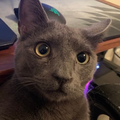 Profile Picture of Jonathan Gwin (@raminnoodle91) on Twitter