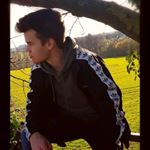 Profile Picture of Daniel B. (@daniel_bahne) on Instagram