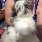 Profile Picture of Shelby Baumbach (@shelby.baumbach) on Facebook