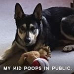 Profile Picture of Shawn Crissy Zook (@shawn.zook) on Instagram