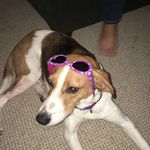 Profile Picture of noel dunham (@noelxp_) on Instagram