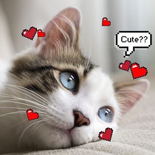 Profile Picture of Vu Nguyen (@Vu-Nguyen) on Facebook