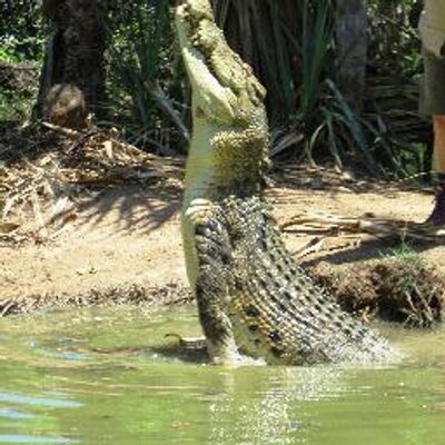 Profile Picture of Bob Brisbane (@bris1147) on Twitter