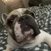 Profile Picture of robertfader (@robertfader) on Tiktok