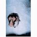 Profile Picture of Monica Schultz (@monicajs72) on Pinterest