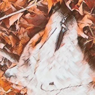 Profile Picture of Wallace Hobbs (@wallace.hobbs.566) on Facebook