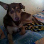 Profile Picture of Adrian Vaca (@oscaradrianva123) on Instagram