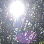 Profile Picture of Tyler (@tyler_stiles_yt) on Instagram