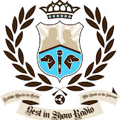 Profile Picture of Chris Schiavo (@BISChris) on Youtube