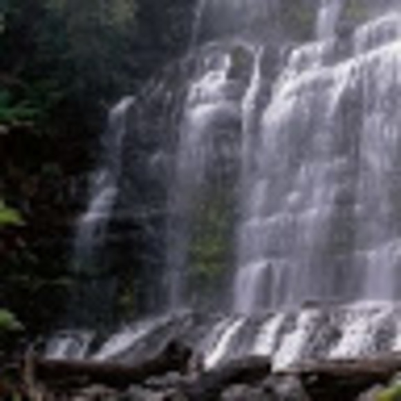 Profile Picture of John Byl (@johnbyl482) on Poshmark