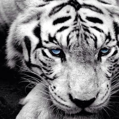 Profile Picture of Zack Fulton (@FultoZack) on Twitter