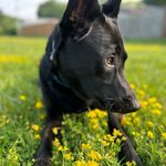 Profile Picture of thomas zambrano (@colombianthomas) on Instagram