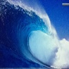 Profile Picture of Joshua hallmark (@@jjosh_hallmark) on Tiktok