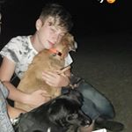 Profile Picture of Robert Hirschberger (@robert_14__2004) on Instagram