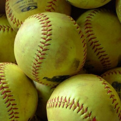 Profile Picture of Lori Palmgren (@vetgirl208) on Twitter