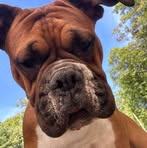 Profile Picture of Jeff Schermerhorn (@jeff.schermerhorn.1) on Facebook