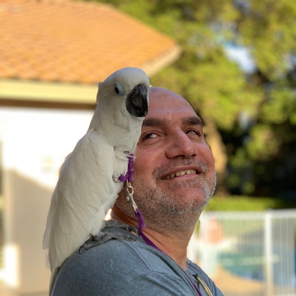 Profile Picture of Wael Allami (@waelallami) on Poshmark