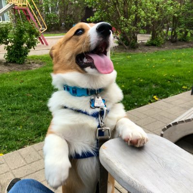 Profile Picture of John Simpson (@thracky) on Twitter