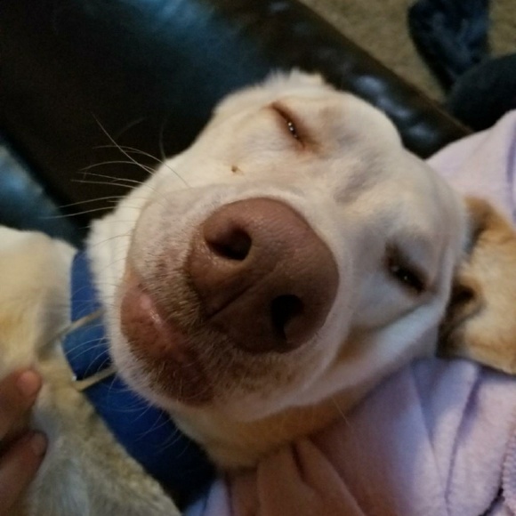 Profile Picture of Carrie Tanori (@carrielee1054) on Poshmark