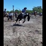 Daniel Brest - Instagram Profile Picture of Daniel Brest (@daniel.brest.376) on Instagram