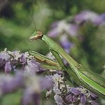 Profile Picture of James Cox (@jamescox11) on Flickr