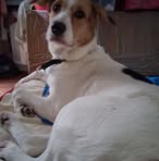 Profile Picture of Jimmy Briganza (@Jimmy-Briganza) on Facebook